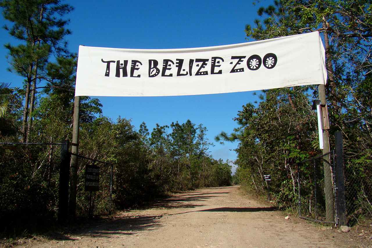 Belize-Top tourist destination to visit in 2019-Belize Zoo