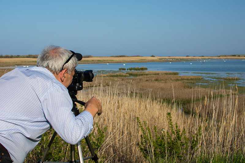 Birdwatching in Bahamas - place for unvaccinated travellers