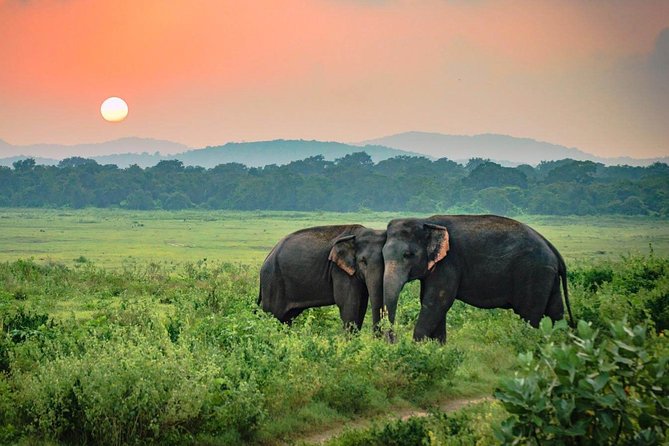 Best places to visit in December - Sri Lanka
